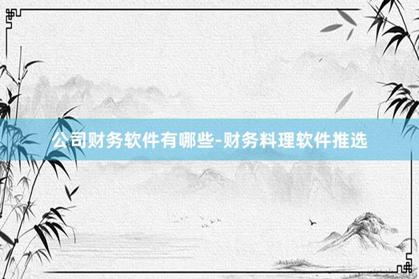 公司财务软件有哪些-财务料理软件推选